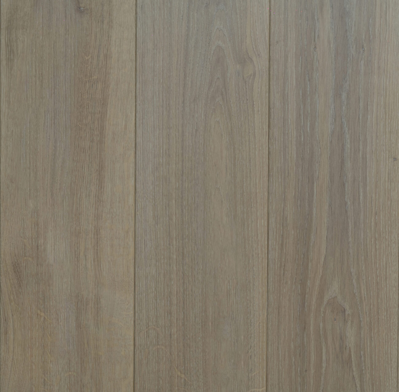 Climping Dunes (Select)