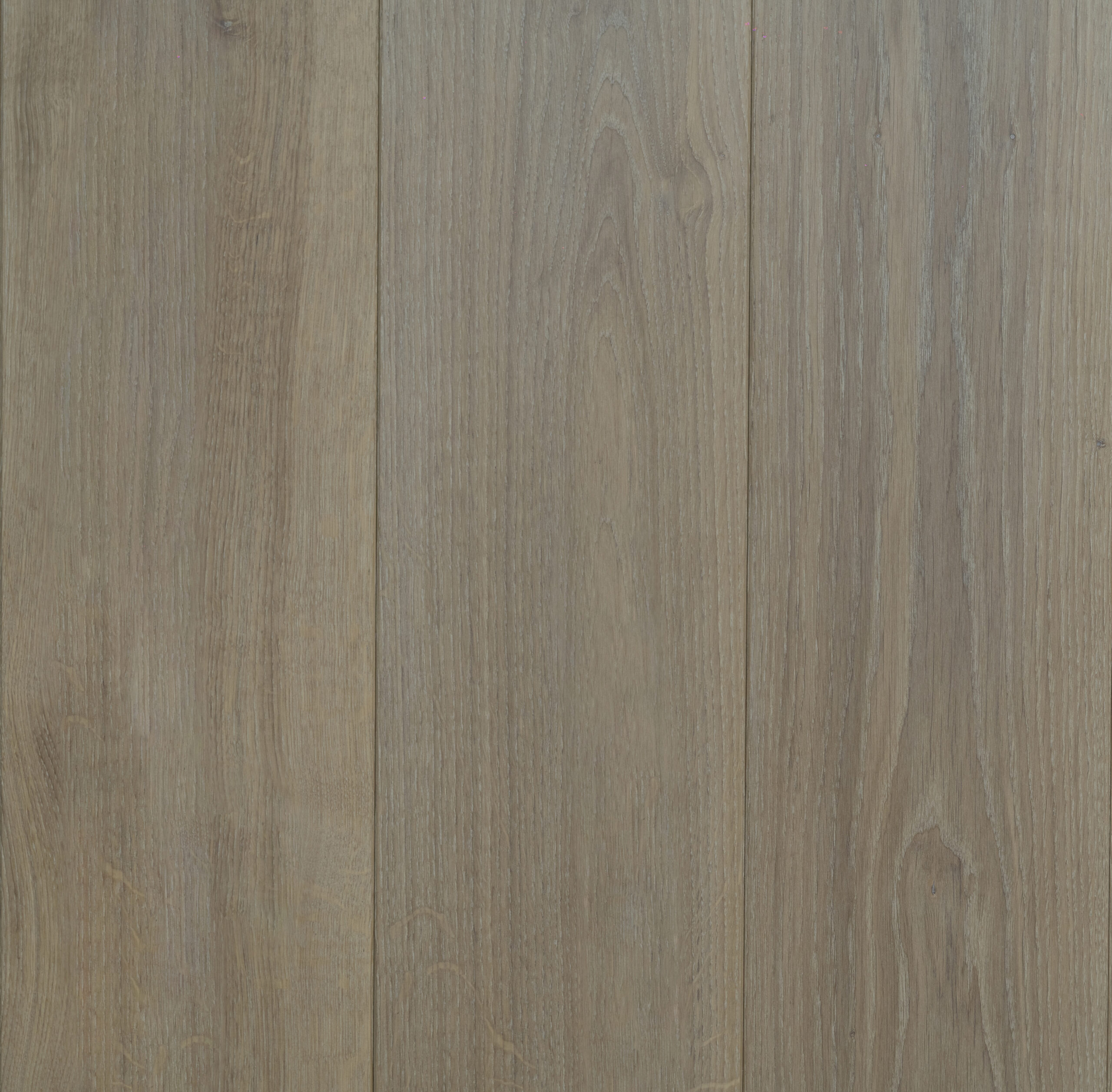 Climping Dunes (Select)